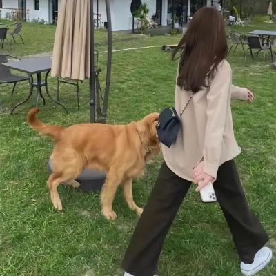 哈哈兵团海报