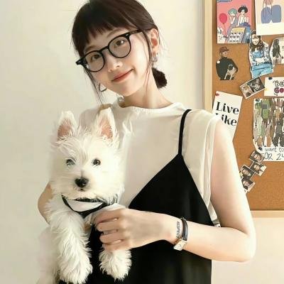 芭蕾少女梦海报