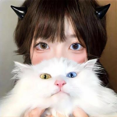 清秀山庄海报